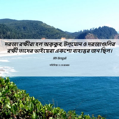 Picture 06 - নহিমিয়া 11:19 BENIRV - দরজা রক্ষীরা হল - Bible Verse Picture