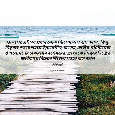 Picture 06 - নহিমিয়া 11:3 BENIRV - প্রদেশের এই সব - Bible Verse Picture