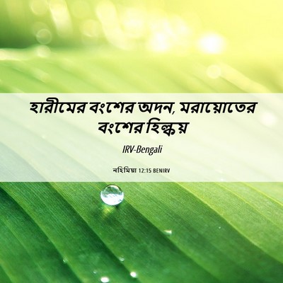 Picture 06 - নহিমিয়া 12:15 BENIRV - হারীমের বংশের অদন, - Bible Verse Picture