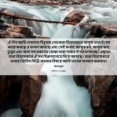 Picture 06 - নহিমিয়া 13:15 BENIRV - ঐ দিন আমি দেখলাম - Bible Verse Picture