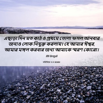 Picture 06 - নহিমিয়া 13:31 BENIRV - এছাড়া দিন মত কাঠ ও - Bible Verse Picture