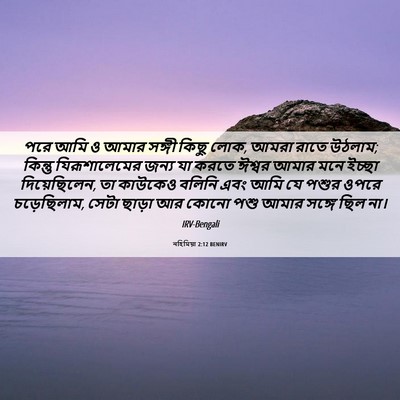 Picture 06 - নহিমিয়া 2:12 BENIRV - পরে আমি ও আমার - Bible Verse Picture