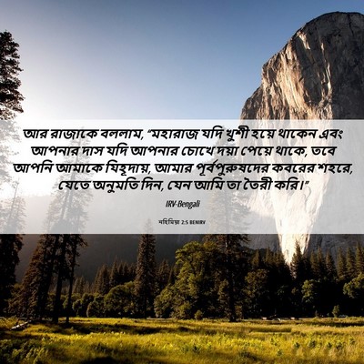 Picture 06 - নহিমিয়া 2:5 BENIRV - আর রাজাকে বললাম, - Bible Verse Picture