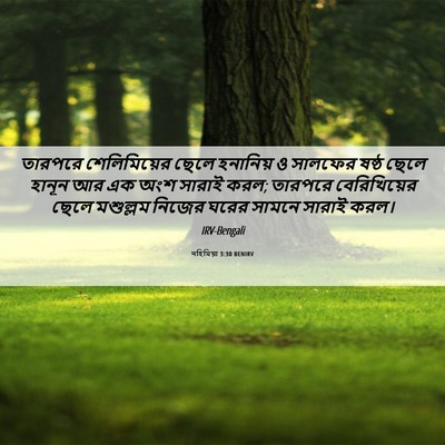 Picture 06 - নহিমিয়া 3:30 BENIRV - তারপরে শেলিমিয়ের - Bible Verse Picture