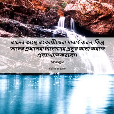 Picture 06 - নহিমিয়া 3:5 BENIRV - তাদের কাছে - Bible Verse Picture