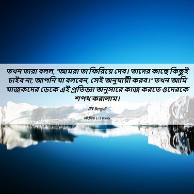 Picture 06 - নহিমিয়া 5:12 BENIRV - তখন তারা বলল, “আমরা - Bible Verse Picture