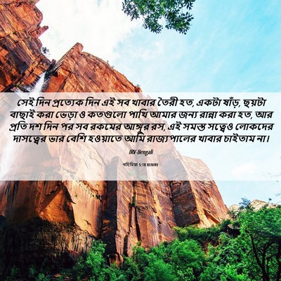 Picture 06 - নহিমিয়া 5:18 BENIRV - সেই দিন প্রত্যেক - Bible Verse Picture