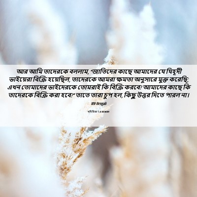Picture 06 - নহিমিয়া 5:8 BENIRV - আর আমি তাদেরকে - Bible Verse Picture