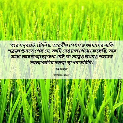 Picture 06 - নহিমিয়া 6:1 BENIRV - পরে সন্‌বল্লট, - Bible Verse Picture