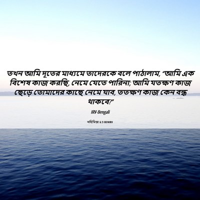 Picture 06 - নহিমিয়া 6:3 BENIRV - তখন আমি দূতের - Bible Verse Picture