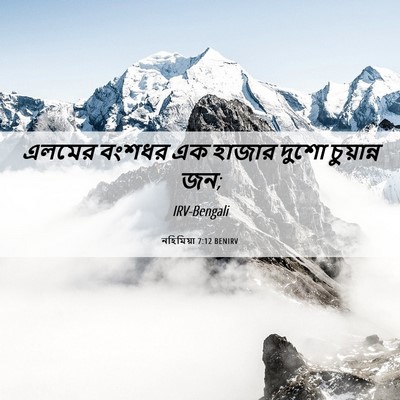 Picture 06 - নহিমিয়া 7:12 BENIRV - এলমের বংশধর এক - Bible Verse Picture