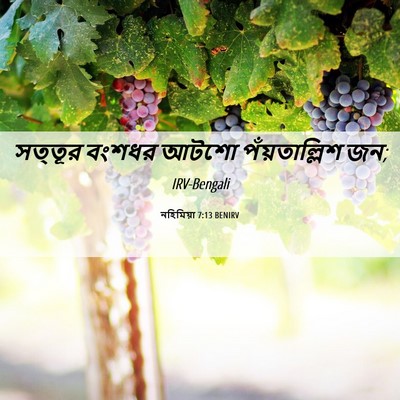 Picture 06 - নহিমিয়া 7:13 BENIRV - সত্তূর বংশধর আটশো - Bible Verse Picture