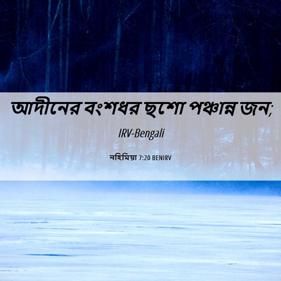 Picture 06 - নহিমিয়া 7:20 BENIRV - আদীনের বংশধর ছশো - Bible Verse Picture