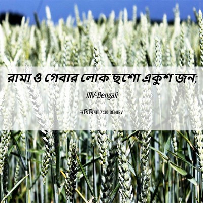 Picture 06 - নহিমিয়া 7:30 BENIRV - রামা ও গেবার লোক - Bible Verse Picture