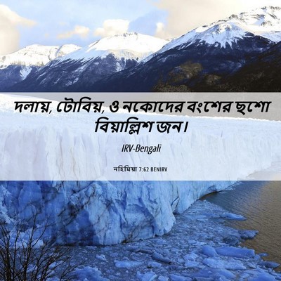Picture 06 - নহিমিয়া 7:62 BENIRV - দলায়, টোবিয়, ও - Bible Verse Picture