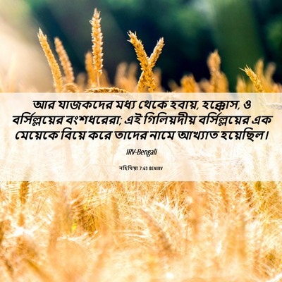 Picture 06 - নহিমিয়া 7:63 BENIRV - আর যাজকদের মধ্য - Bible Verse Picture