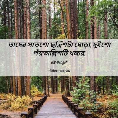 Picture 06 - নহিমিয়া 7:68 BENIRV - তাদের সাতশো - Bible Verse Picture
