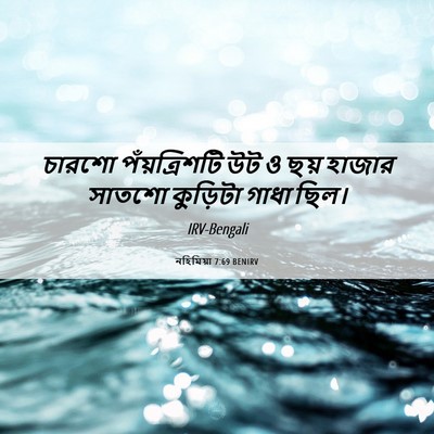 Picture 06 - নহিমিয়া 7:69 BENIRV - চারশো পঁয়ত্রিশটি - Bible Verse Picture