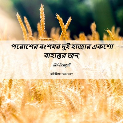 Picture 06 - নহিমিয়া 7:8 BENIRV - পরোশের বংশধর দুই - Bible Verse Picture