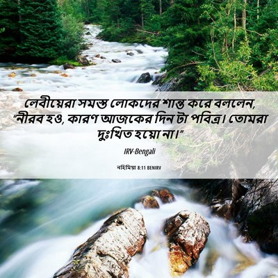 Picture 06 - নহিমিয়া 8:11 BENIRV - লেবীয়েরা সমস্ত - Bible Verse Picture