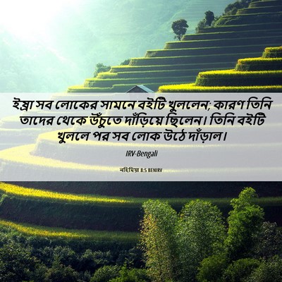 Picture 06 - নহিমিয়া 8:5 BENIRV - ইষ্রা সব লোকের - Bible Verse Picture