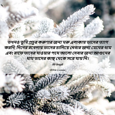 Picture 06 - নহিমিয়া 9:19 BENIRV - তখনও তুমি প্রচুর - Bible Verse Picture