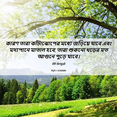 Picture 06 - নহূম 1:10 BENIRV - কারণ তারা - Bible Verse Picture