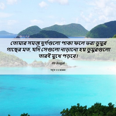 Picture 06 - নহূম 3:12 BENIRV - তোমার সমস্ত - Bible Verse Picture