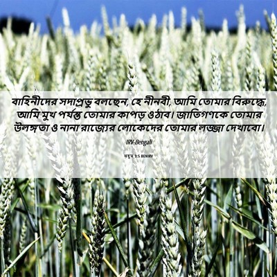 Picture 06 - নহূম 3:5 BENIRV - বাহিনীদের - Bible Verse Picture