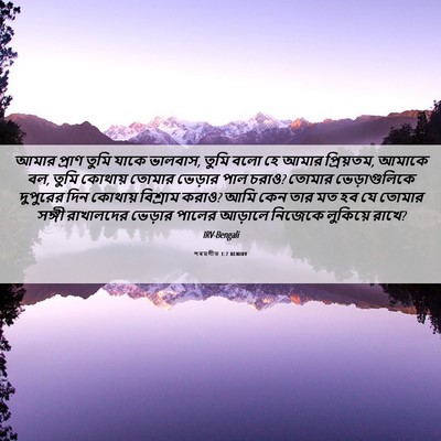 Picture 06 - পৰমগীত 1:7 BENIRV - আমার প্রাণ তুমি - Bible Verse Picture