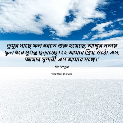 Picture 06 - পৰমগীত 2:13 BENIRV - ডুমুর গাছে ফল ধরতে - Bible Verse Picture