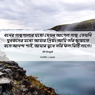 Picture 06 - পৰমগীত 2:3 BENIRV - বনের গাছপালার - Bible Verse Picture