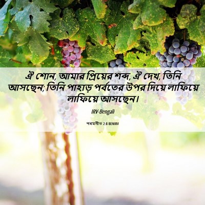 Picture 06 - পৰমগীত 2:8 BENIRV - ঐ শোন, আমার - Bible Verse Picture
