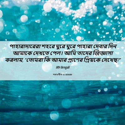 Picture 06 - পৰমগীত 3:3 BENIRV - পাহারাদারেরা শহরে - Bible Verse Picture