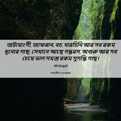 Picture 06 - পৰমগীত 4:14 BENIRV - জটামাংসী, জাফরান, - Bible Verse Picture