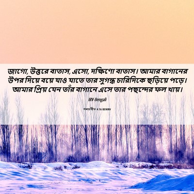 Picture 06 - পৰমগীত 4:16 BENIRV - জাগো, উত্তরে বাতাস, - Bible Verse Picture