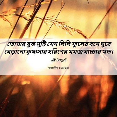 Picture 06 - পৰমগীত 4:5 BENIRV - তোমার বুক দুটি যেন - Bible Verse Picture