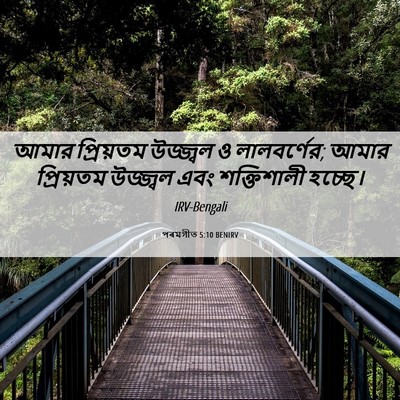 Picture 06 - পৰমগীত 5:10 BENIRV - আমার প্রিয়তম - Bible Verse Picture