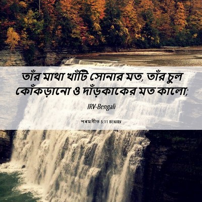 Picture 06 - পৰমগীত 5:11 BENIRV - তাঁর মাথা খাঁটি - Bible Verse Picture