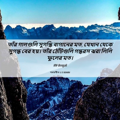 Picture 06 - পৰমগীত 5:13 BENIRV - তাঁর গালগুলি - Bible Verse Picture