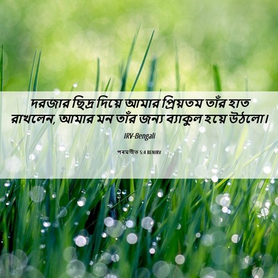 Picture 06 - পৰমগীত 5:4 BENIRV - দরজার ছিদ্র দিয়ে - Bible Verse Picture
