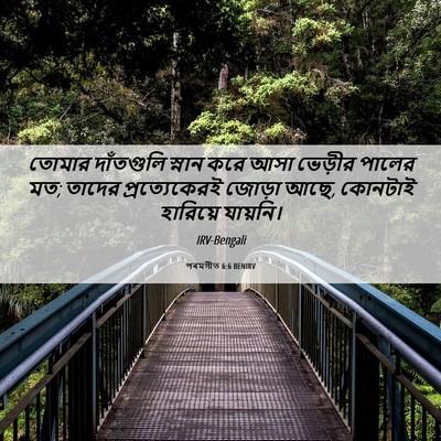 Picture 06 - পৰমগীত 6:6 BENIRV - তোমার দাঁতগুলি - Bible Verse Picture