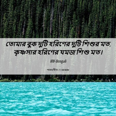 Picture 06 - পৰমগীত 7:3 BENIRV - তোমার বুক দুটি - Bible Verse Picture