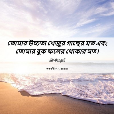 Picture 06 - পৰমগীত 7:7 BENIRV - তোমার উচ্চতা - Bible Verse Picture