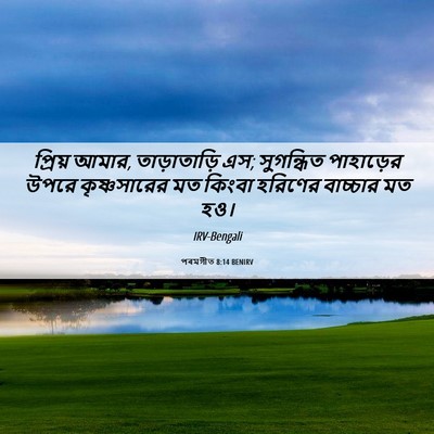 Picture 06 - পৰমগীত 8:14 BENIRV - প্রিয় আমার, - Bible Verse Picture