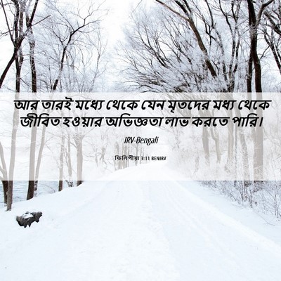 Picture 06 - ফিলিপীয়া 3:11 BENIRV - আর তারই মধ্যে থেকে - Bible Verse Picture