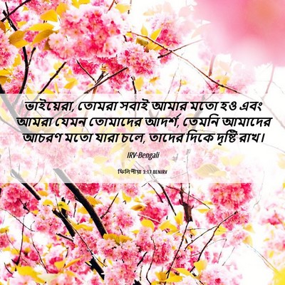 Picture 06 - ফিলিপীয়া 3:17 BENIRV - ভাইয়েরা, তোমরা - Bible Verse Picture