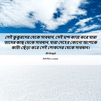 Picture 06 - ফিলিপীয়া 3:2 BENIRV - সেই কুকুরদের থেকে - Bible Verse Picture