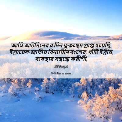 Picture 06 - ফিলিপীয়া 3:5 BENIRV - আমি আটদিনের র দিন - Bible Verse Picture