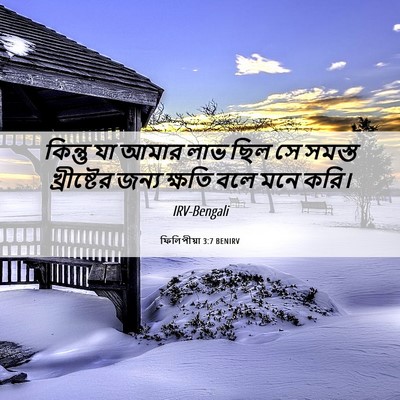 Picture 06 - ফিলিপীয়া 3:7 BENIRV - কিন্তু যা আমার লাভ - Bible Verse Picture